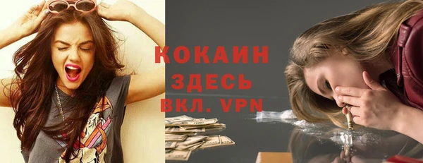 стафф Дмитров