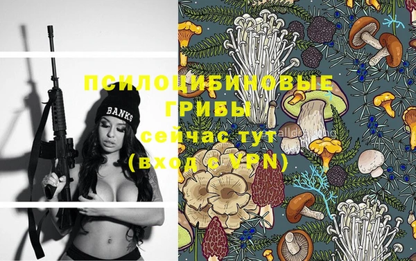 стафф Дмитров