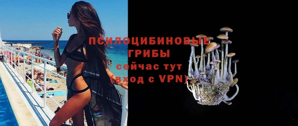 стафф Дмитров