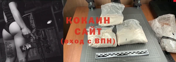 PSILOCYBIN Дмитриев