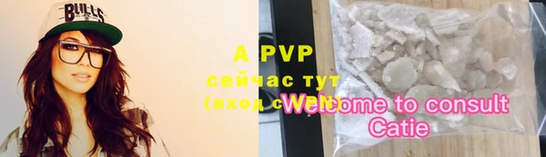 PSILOCYBIN Дмитриев