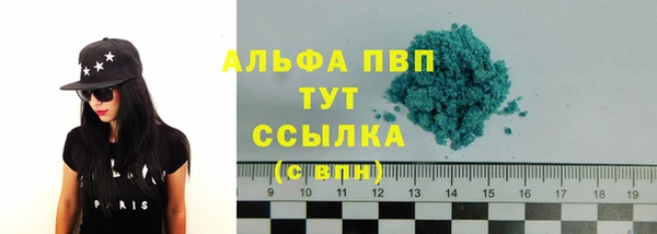 стафф Дмитров
