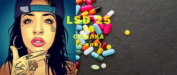 стафф Дмитров