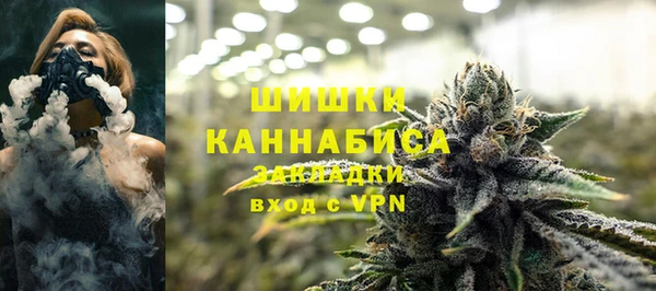PSILOCYBIN Дмитриев