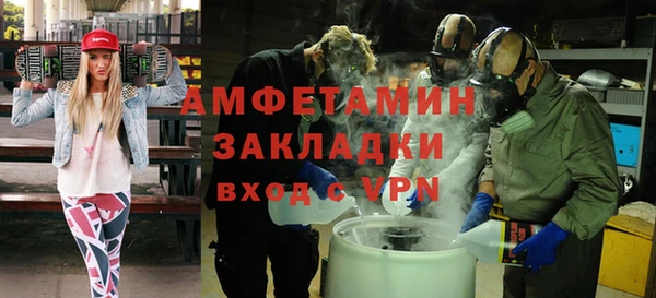 PSILOCYBIN Дмитриев