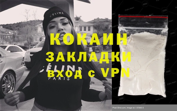 PSILOCYBIN Дмитриев
