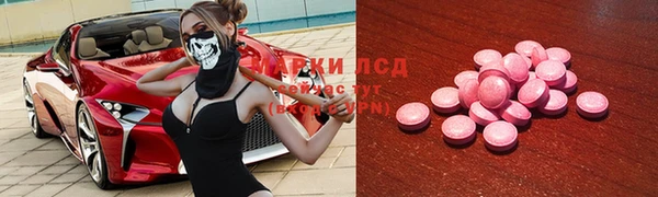 PSILOCYBIN Дмитриев